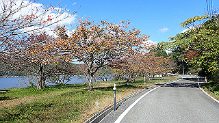 pb031368_thumb.jpg