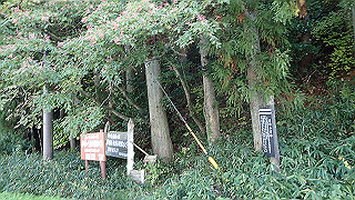 pb031372_thumb.jpg