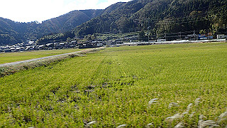 pb031395_thumb.jpg