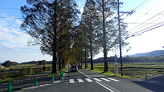 pb031409_thumb.jpg
