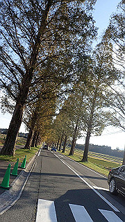 pb031410_thumb.jpg