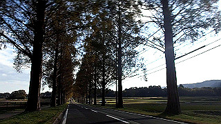 pb031414.mov_thumb.jpg