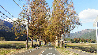 pb031415_thumb.jpg