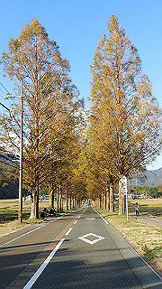pb031416_thumb.jpg