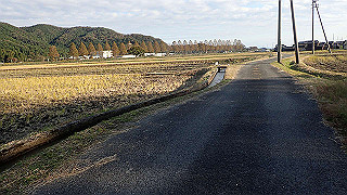 pb031417_thumb.jpg