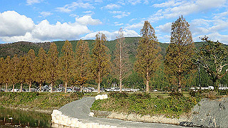 pb031418_thumb.jpg