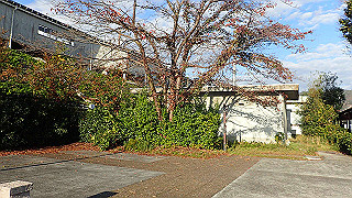 pb031422_thumb.jpg