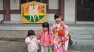 dsc02024_thumb.jpg