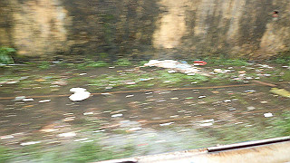 pc100980_thumb.jpg