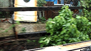 pc100981.mov_thumb.jpg