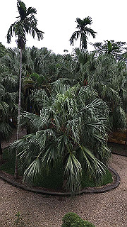 img_2150_thumb.jpg