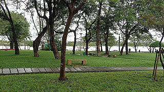 pc111019_thumb.jpg