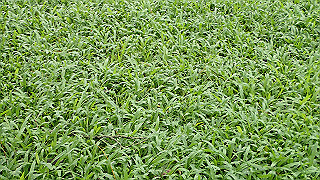 pc111031_thumb.jpg