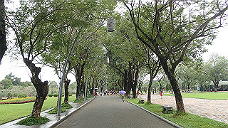 pc111100_thumb.jpg