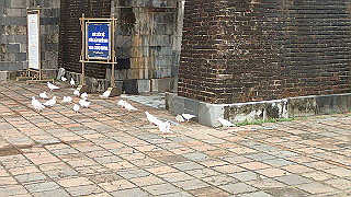 pc111112_thumb.jpg