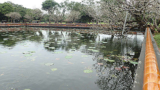 pc111120_thumb.jpg