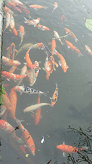 pc111121_thumb.jpg