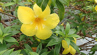 pc111123_thumb.jpg