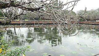 pc111129_thumb.jpg
