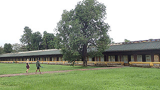 pc111202_thumb.jpg
