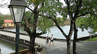 pc111230_thumb.jpg
