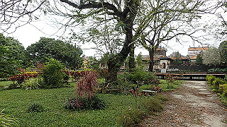 pc111240_thumb.jpg