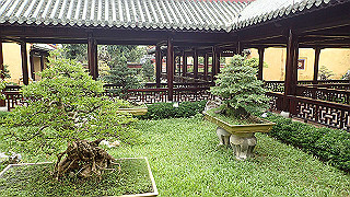 pc111260_thumb.jpg