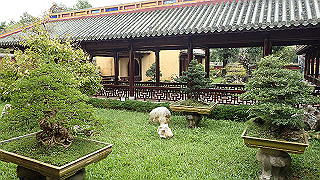 pc111261_thumb.jpg