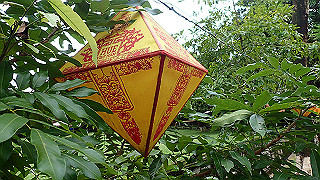 pc111315_thumb.jpg