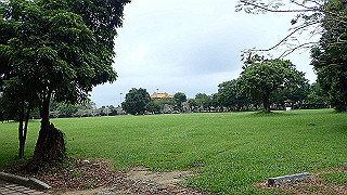 pc111316_thumb.jpg