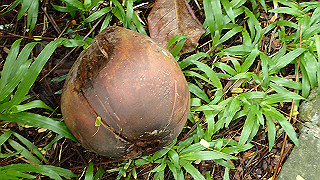 pc111349_thumb.jpg