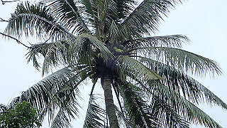pc111350_thumb.jpg