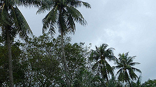 pc111351_thumb.jpg