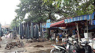 pc111362_thumb.jpg