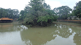 pc121404_thumb.jpg