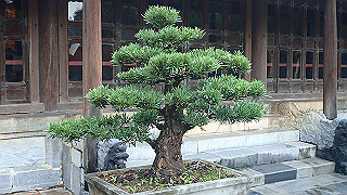 pc121433_thumb.jpg