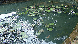 pc121498_thumb.jpg