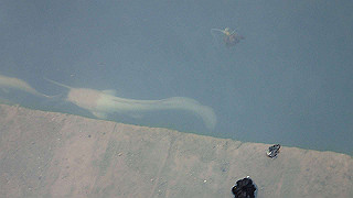pc121502_thumb.jpg