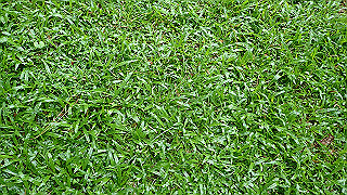 pc121520_thumb.jpg