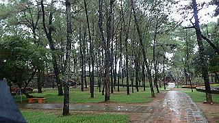 pc121521_thumb.jpg