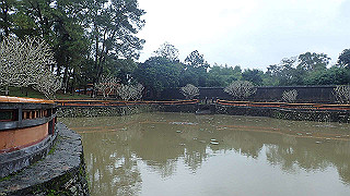 pc121536_thumb.jpg