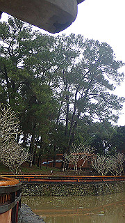 pc121538_thumb.jpg
