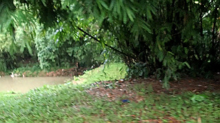 pc121554.mov_thumb.jpg