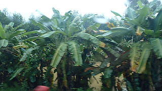 pc121638_thumb.jpg