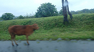 pc121642_thumb.jpg