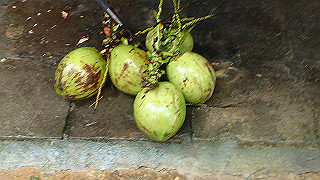 pc121653_thumb.jpg