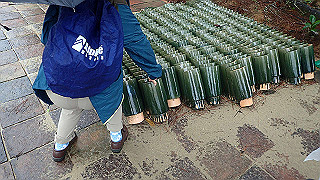 pc121673_thumb.jpg