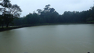 pc121701_thumb.jpg