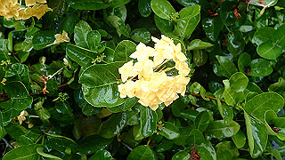 pc121710_thumb.jpg