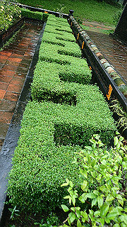 pc121711_thumb.jpg
